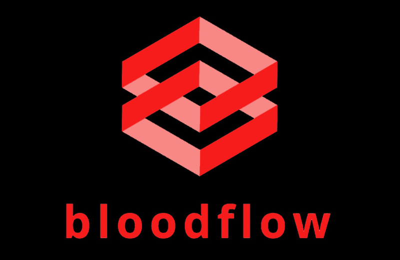 blod flow logo