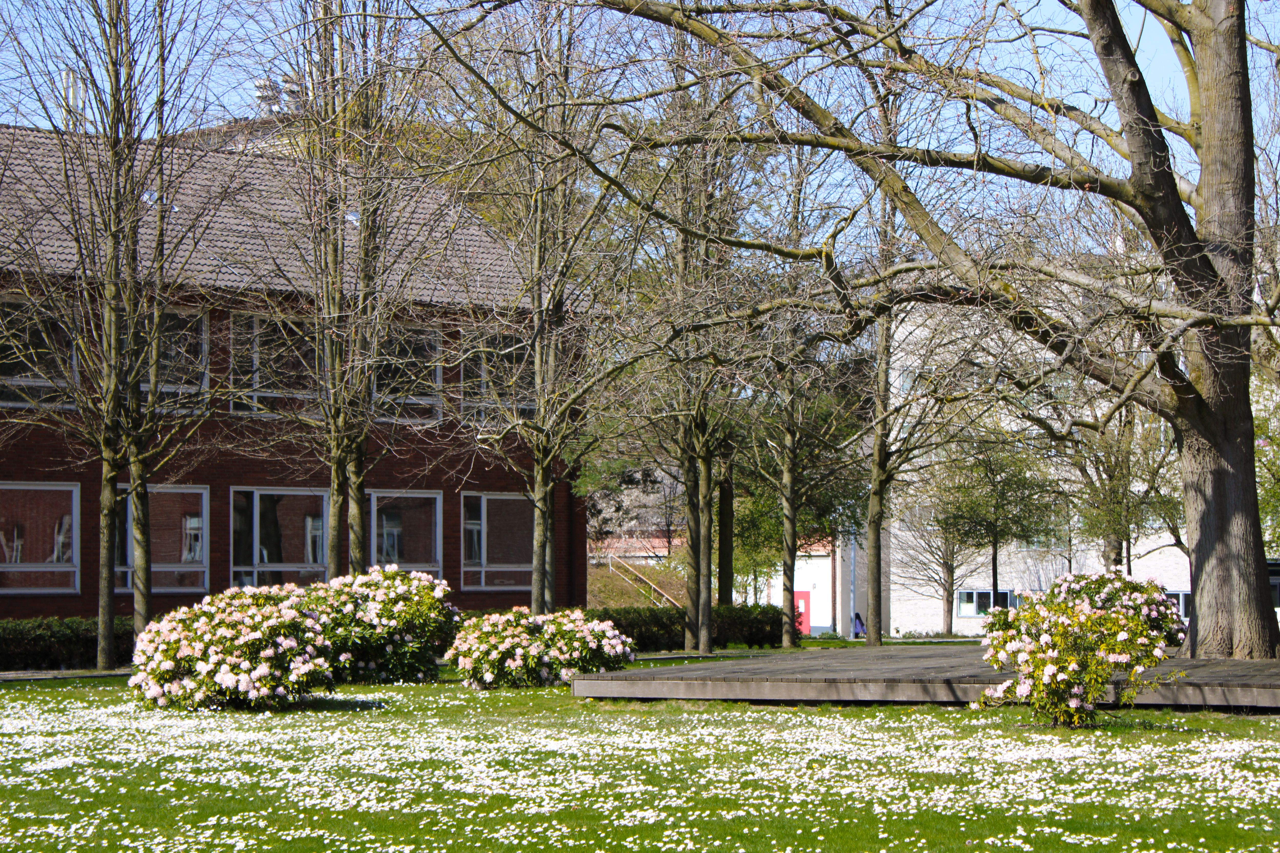 Campus of Constructor University