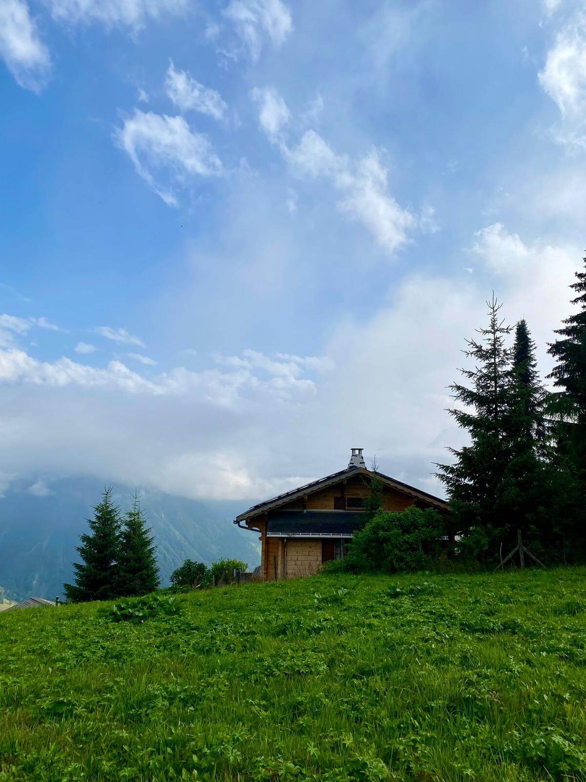 Alumni mentoring program 4