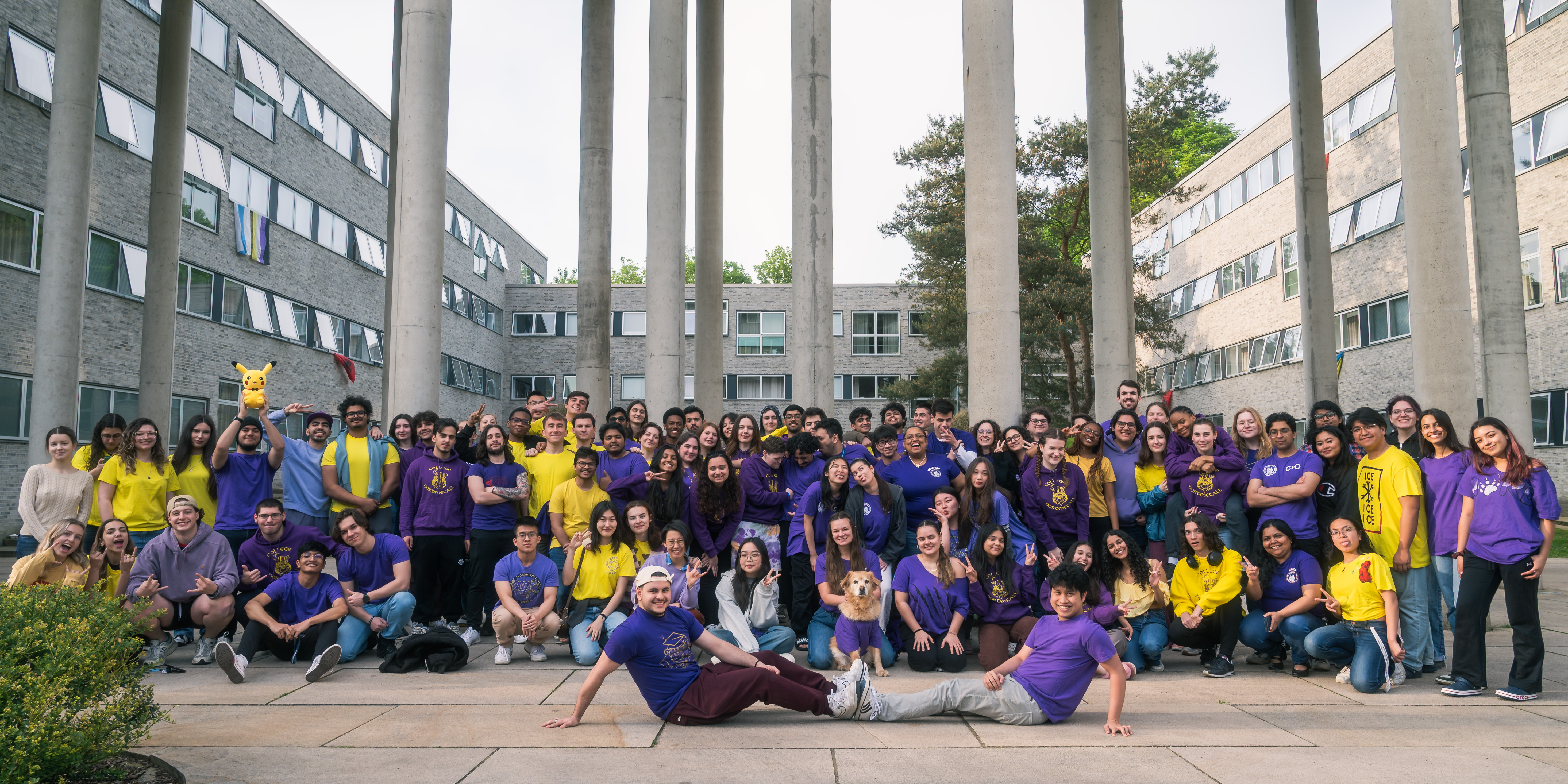 Group of constructor university