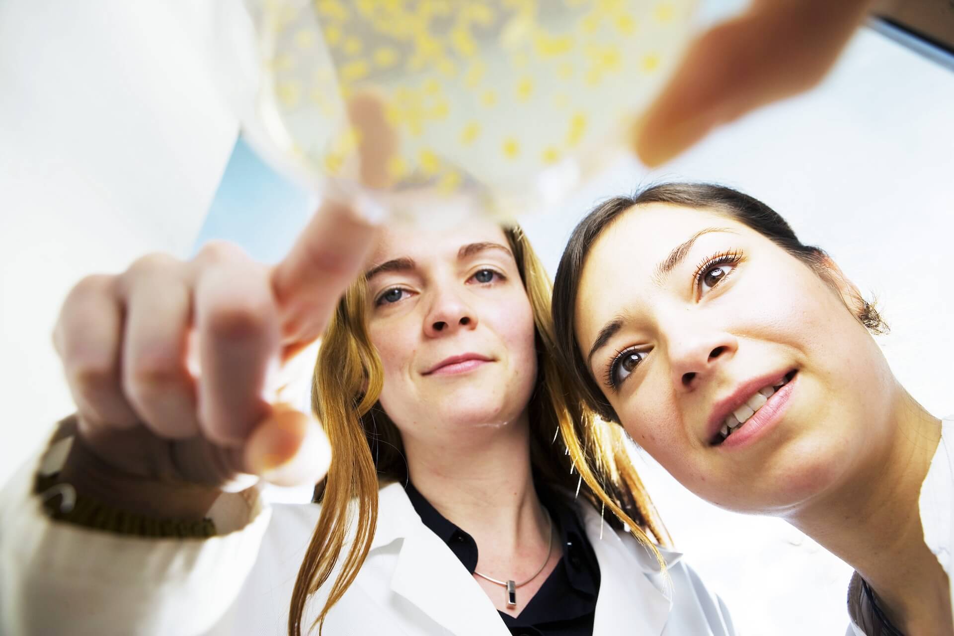 Biochemistry Cell Biology Lab Students Petri Dish Research
