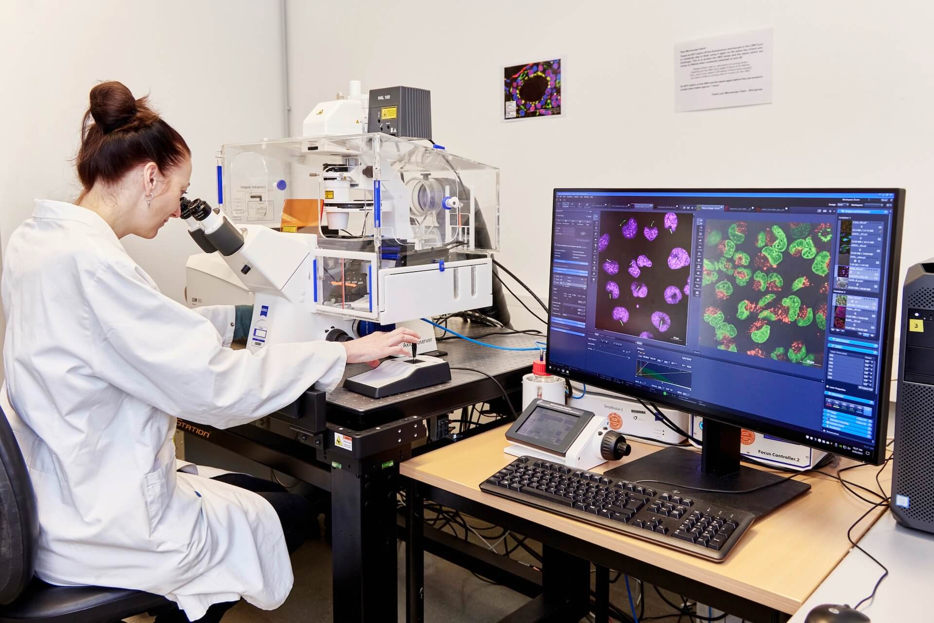 Cell Biology Lab Student Screen Microscope Research