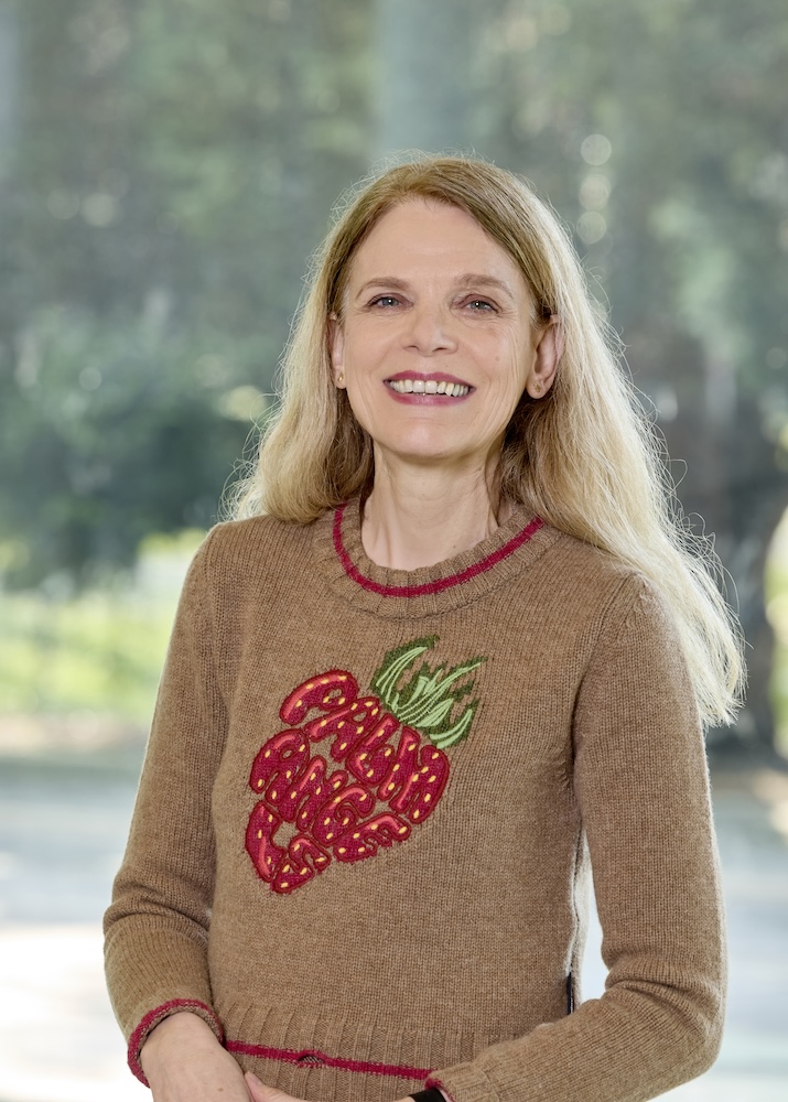 Prof. Hilke Brockmann