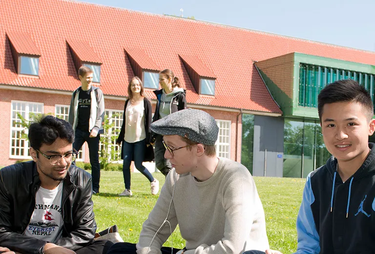 Undergraduate Education