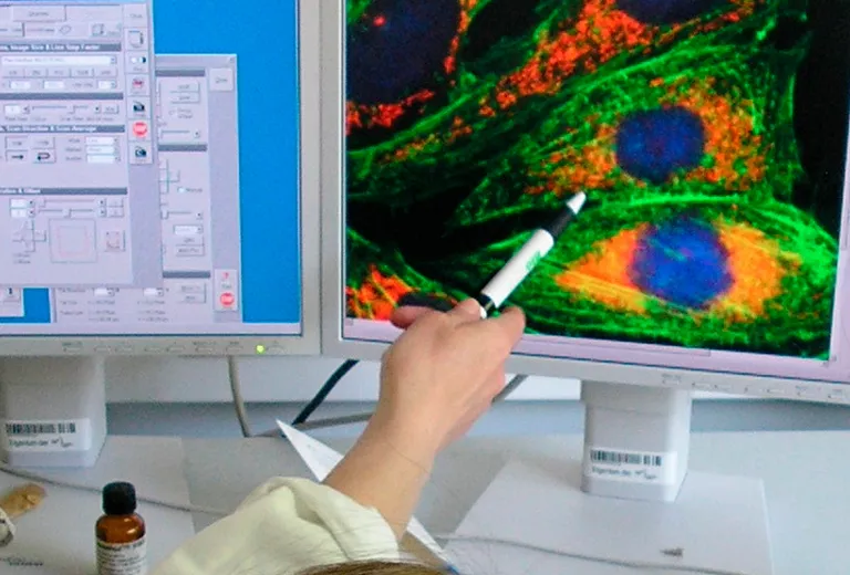 header stipends women in stem