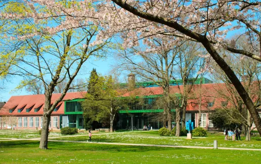 Campus of Constructor University