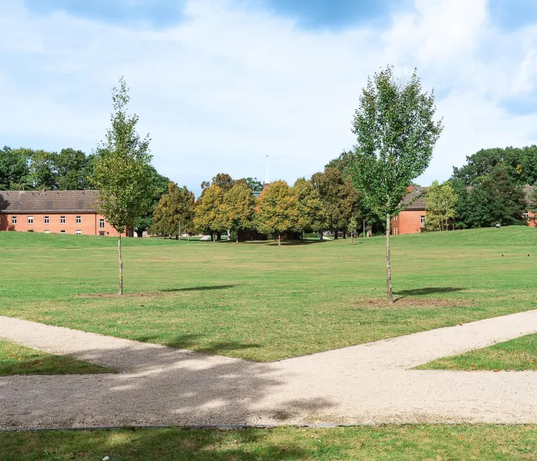 Campus Green Constructor University