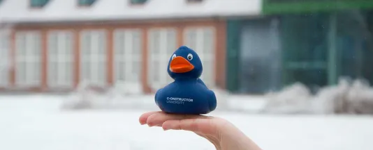 duck header snow winter