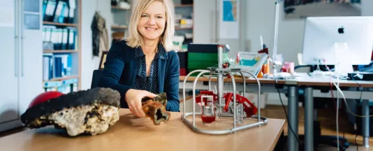 Constructor University Professor elected to the DFG Review Board