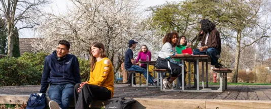 A day in the life of students at Constructor University