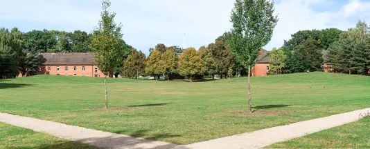 Campus Green Constructor University