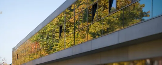 Constructor University Campus Lab II – Trees Reflection