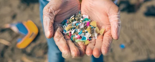 header_mikroplastikbelastung.jpg