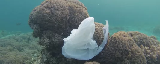 plastic_waste_teaser.jpg