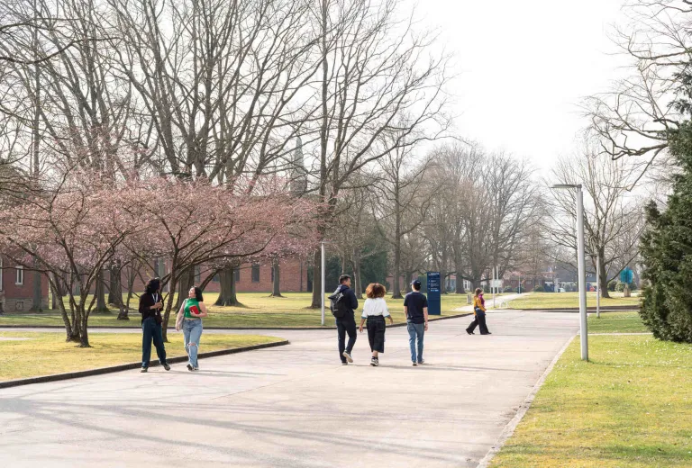 Constructor University