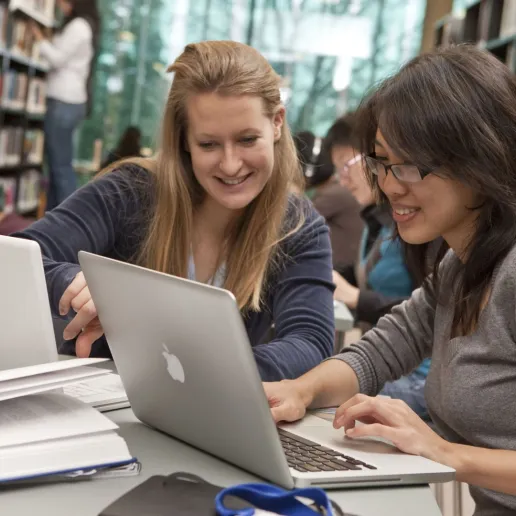 students learning on computers