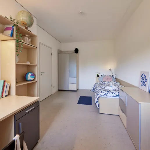 A picture of the constructor university dorm room.