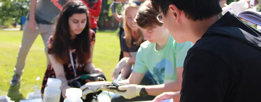 meermint summer 2023