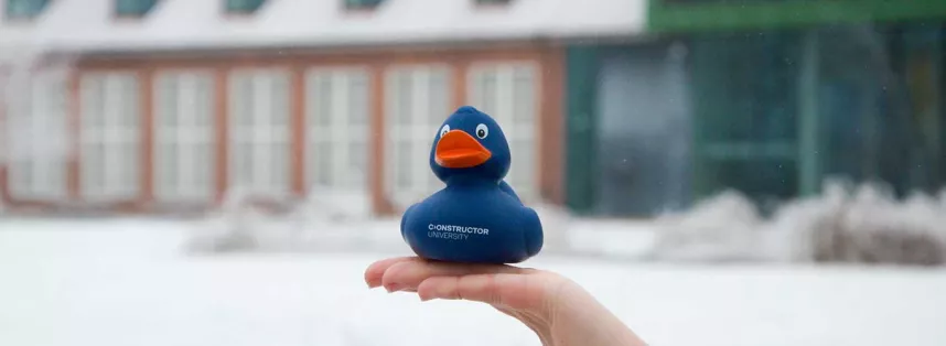 duck header snow winter