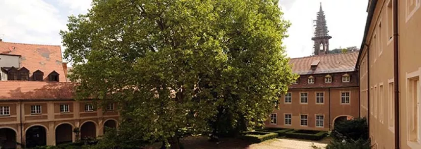 University college freiburg