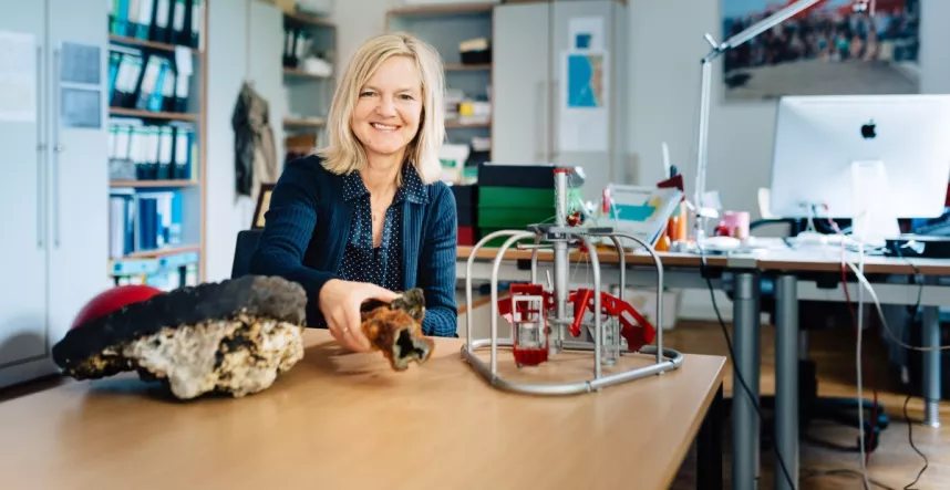 Constructor University Professor elected to the DFG Review Board