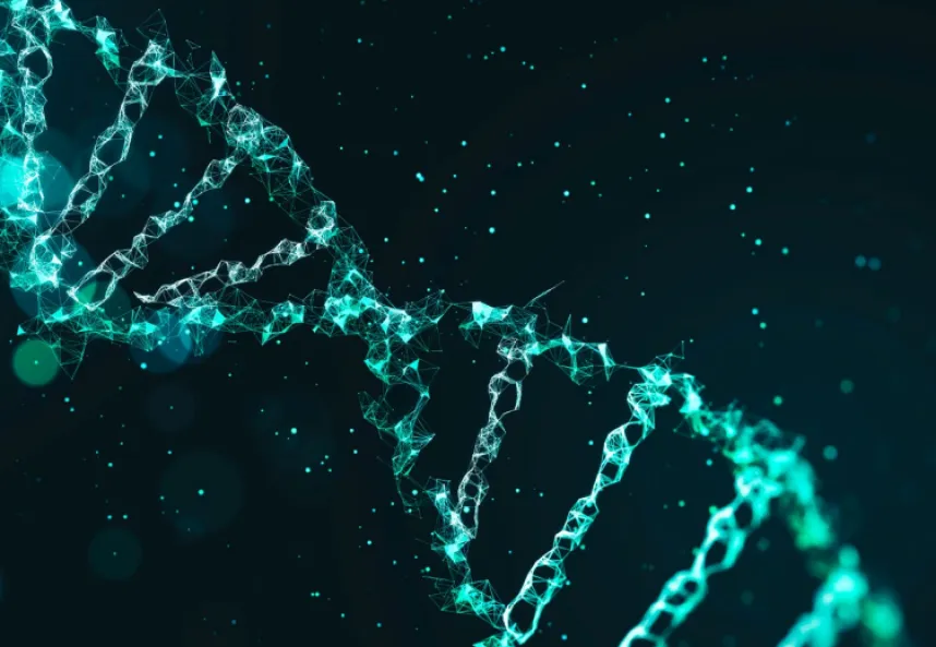 Computational Life Sciences and Synthetic Biology