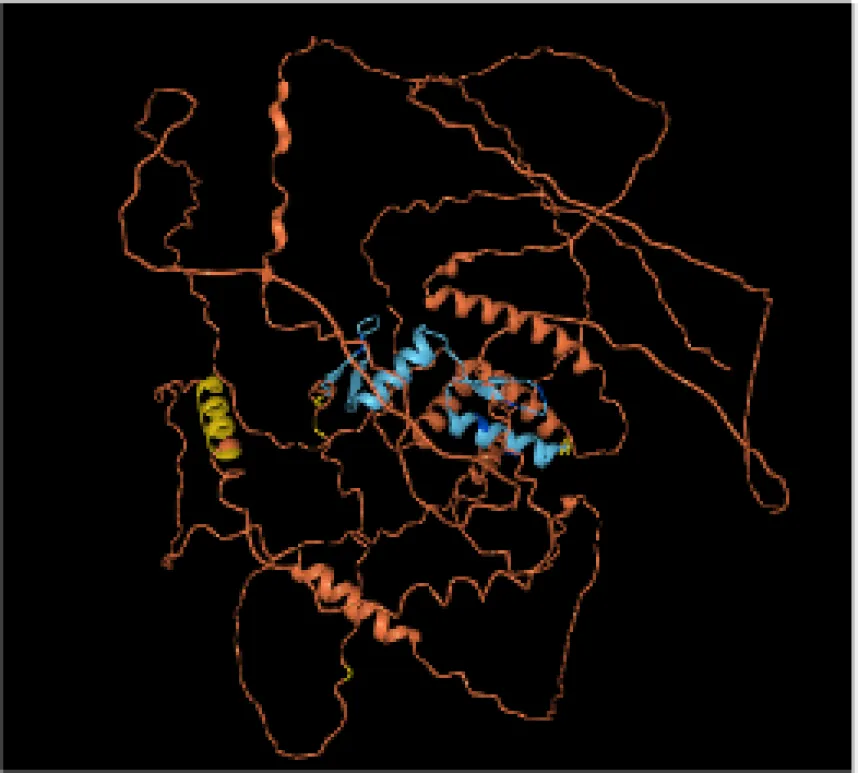 Biochemistry of eukaryotic Gene Regulation