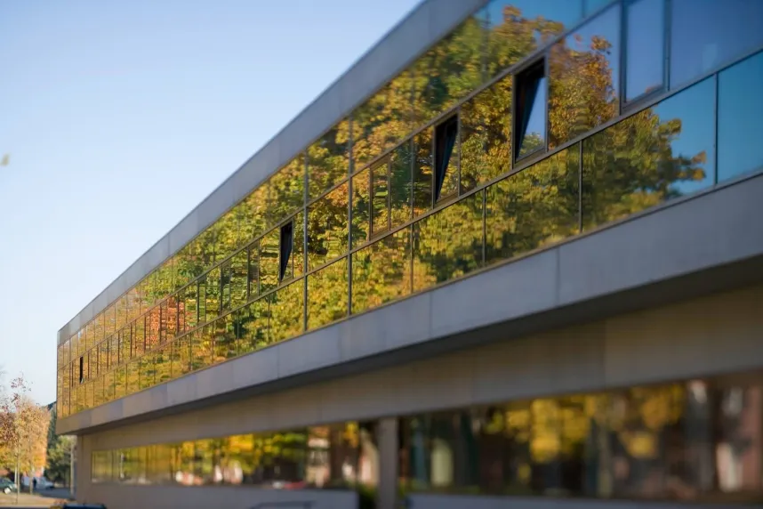 Constructor University Campus Lab II – Trees Reflection