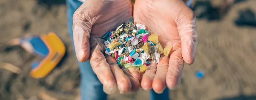 header_mikroplastikbelastung.jpg