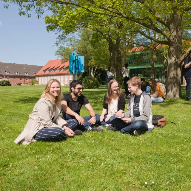 Students sitting on grass