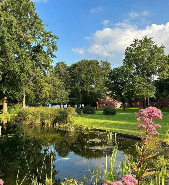 Study Computer Science in Germany