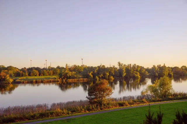 Knoops Park, close to Constructor University