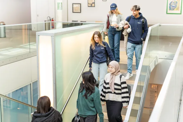A group of students in the IRC at Constructor University
