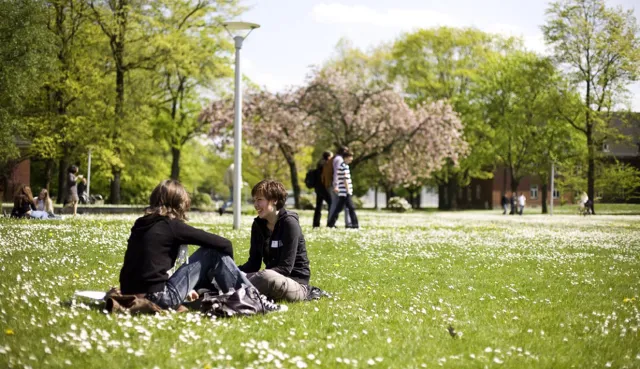 Campus of Constructor University